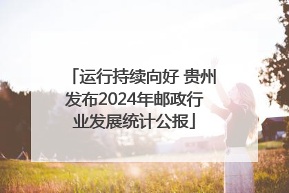 运行持续向好 贵州发布2024年邮政行业发展统计公报