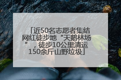 近50名志愿者集结网红徒步地“天鹅林场”，徒步10公里清运150余斤山野垃圾