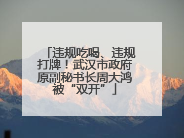 违规吃喝、违规打牌！武汉市政府原副秘书长周大鸿被“双开”