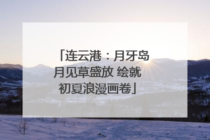 连云港：月牙岛月见草盛放 绘就初夏浪漫画卷