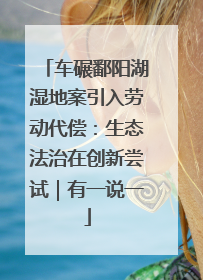 车碾鄱阳湖湿地案引入劳动代偿：生态法治在创新尝试｜有一说一