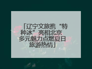 辽宁文旅携“特种冰”亮相北京 多元魅力点燃夏日旅游热情