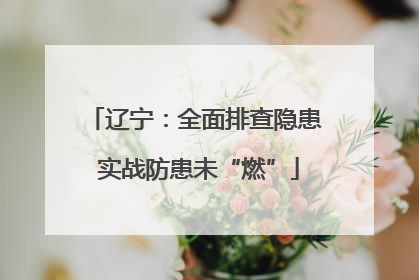 辽宁：全面排查隐患 实战防患未“燃”