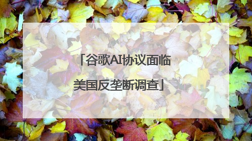 谷歌AI协议面临美国反垄断调查