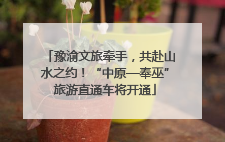 豫渝文旅牵手，共赴山水之约！“中原—奉巫”旅游直通车将开通