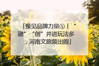 豫见品牌力量⑤丨“融”“创”并进玩法多，河南文旅频出圈