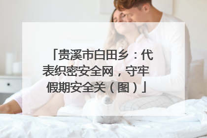 贵溪市白田乡：代表织密安全网，守牢假期安全关（图）
