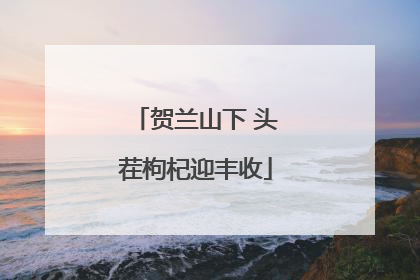 贺兰山下 头茬枸杞迎丰收