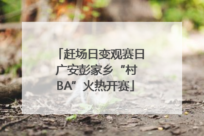 赶场日变观赛日 广安彭家乡“村BA”火热开赛