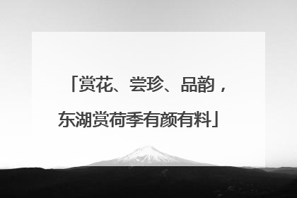 赏花、尝珍、品韵，东湖赏荷季有颜有料