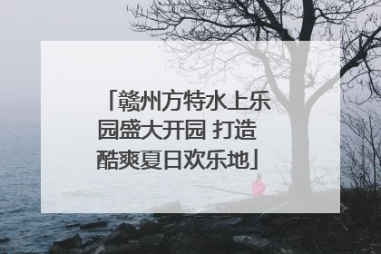 赣州方特水上乐园盛大开园 打造酷爽夏日欢乐地