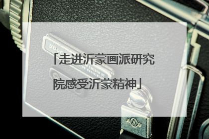走进沂蒙画派研究院感受沂蒙精神