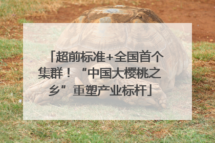 超前标准+全国首个集群！“中国大樱桃之乡”重塑产业标杆