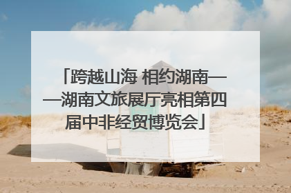 跨越山海 相约湖南——湖南文旅展厅亮相第四届中非经贸博览会