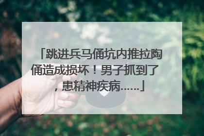 跳进兵马俑坑内推拉陶俑造成损坏！男子抓到了，患精神疾病……