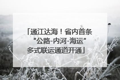 通江达海！省内首条“公路-内河-海运”多式联运通道开通