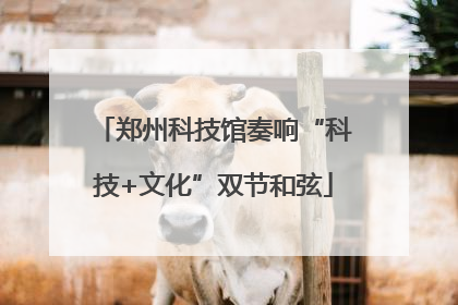 郑州科技馆奏响“科技+文化”双节和弦