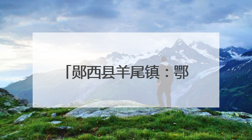 郧西县羊尾镇：鄂陕互联粽香两岸 龙舟逐浪共庆端阳
