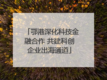 鄂港深化科技金融合作 共建科创企业出海通道