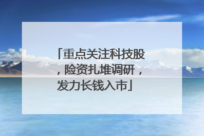 重点关注科技股，险资扎堆调研，发力长钱入市