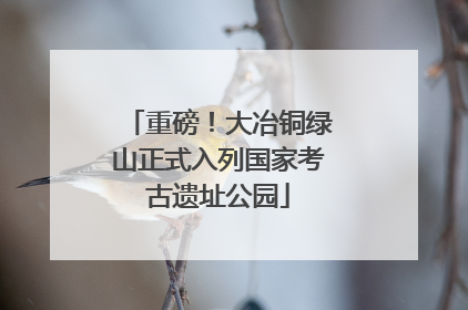 重磅！大冶铜绿山正式入列国家考古遗址公园