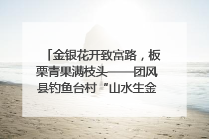 金银花开致富路，板栗青果满枝头——团风县钓鱼台村“山水生金”谱写共富新篇章