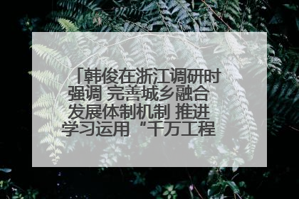 韩俊在浙江调研时强调 完善城乡融合发展体制机制 推进学习运用“千万工程”经验走深走实