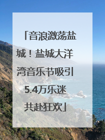 音浪激荡盐城！盐城大洋湾音乐节吸引5.4万乐迷共赴狂欢
