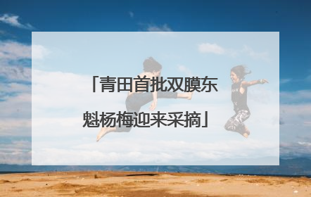 青田首批双膜东魁杨梅迎来采摘