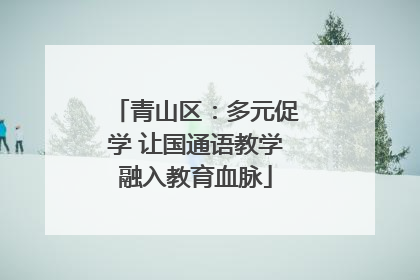 青山区：多元促学 让国通语教学融入教育血脉