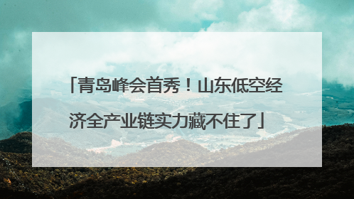 青岛峰会首秀！山东低空经济全产业链实力藏不住了