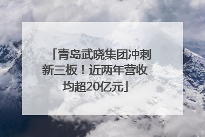 青岛武晓集团冲刺新三板！近两年营收均超20亿元