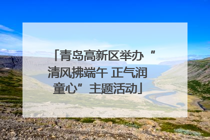 青岛高新区举办“清风拂端午 正气润童心”主题活动