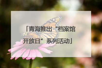 青海推出“档案馆开放日”系列活动