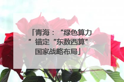 青海：“绿色算力”锚定“东数西算”国家战略布局