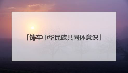 铸牢中华民族共同体意识