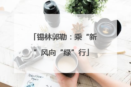 锡林郭勒：乘“新”风向“绿”行