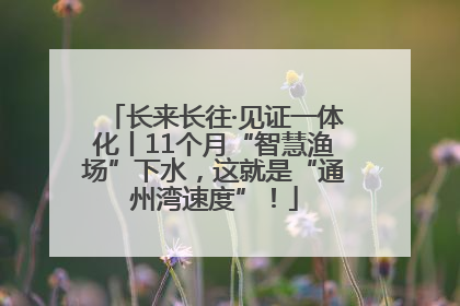 长来长往·见证一体化丨11个月“智慧渔场”下水，这就是“通州湾速度”！