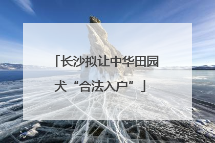 长沙拟让中华田园犬“合法入户”