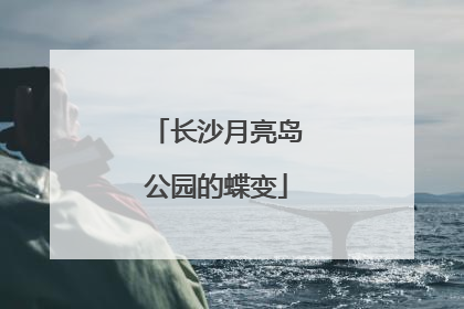 长沙月亮岛公园的蝶变