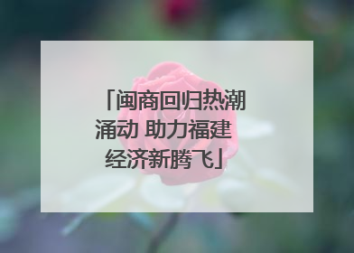 闽商回归热潮涌动 助力福建经济新腾飞
