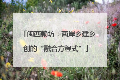 闽西赖坊：两岸乡建乡创的“融合方程式”