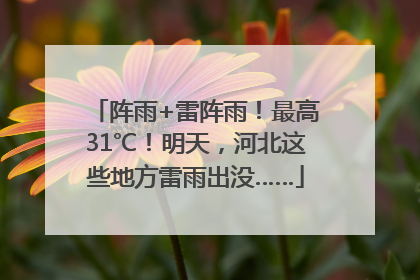 阵雨+雷阵雨！最高31℃！明天，河北这些地方雷雨出没……