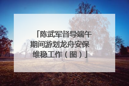 陈武军督导端午期间游划龙舟安保维稳工作（图）
