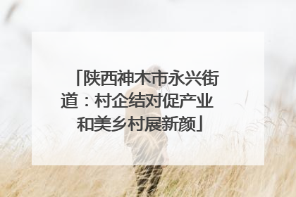 陕西神木市永兴街道：村企结对促产业 和美乡村展新颜