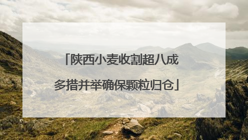 陕西小麦收割超八成 多措并举确保颗粒归仓