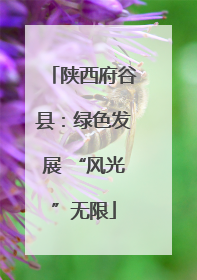 陕西府谷县：绿色发展 “风光”无限