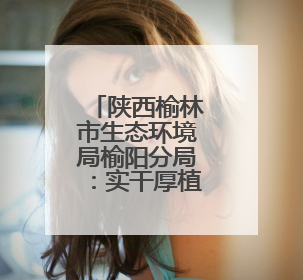 陕西榆林市生态环境局榆阳分局：实干厚植生态底色，担当描绘绿色答卷