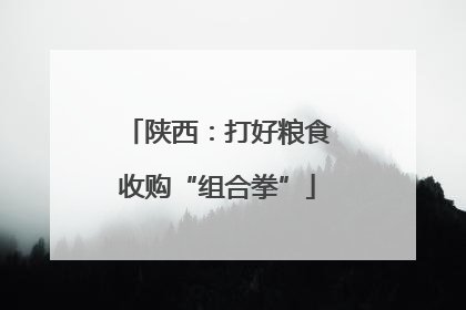 陕西：打好粮食收购“组合拳”