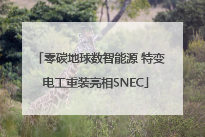 零碳地球数智能源 特变电工重装亮相SNEC